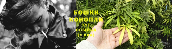 шишки Богородск